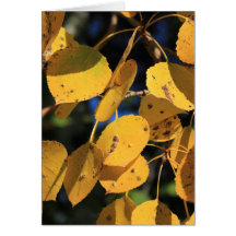 Feuille de peuplier d'Aspen en automne Cartes De Vœux