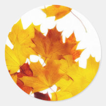 Feuille d'érable autocollants