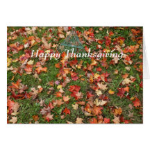 Feuille et râteau d'érable d'automne de thanksgivi cartes