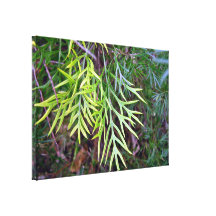 feuille jaune et vert de Nouveau-croissance sur le Impression Sur Toile