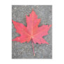 Feuille morte postcard