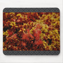 Feuille ronde Sundew Tapis De Souris
