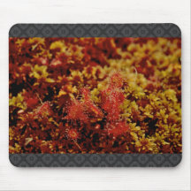 Feuille ronde Sundew Tapis De Souris
