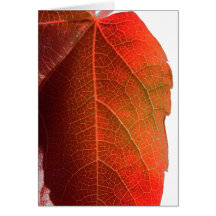 Feuille rouge artistique cartes