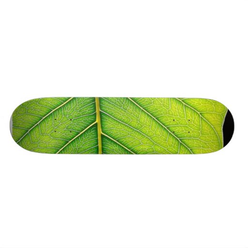 Feuille vert de feuille plateaux de planche à roulettes