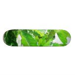 Feuille vert plateaux de skate
