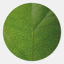 Feuille verte adhésifs ronds