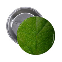 Feuille verte badge