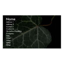Feuille verte de lierre carte de visite