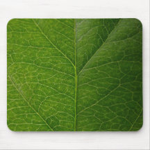 Feuille verte tapis de souris
