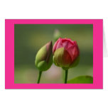 fibroLIFE Greeting Card