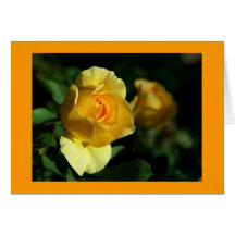 fibroLIFE Greeting Card
