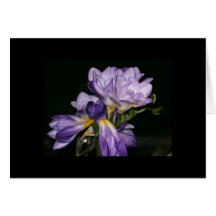 fibroLIFE Greeting Card