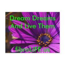 fibroLIFE Post Cards