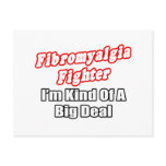 Fibromyalgia Fighter...Big Deal