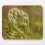 Fiddlehead Fern Heart Photo Mousepad