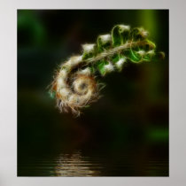 Fiddlehead Fern print posters