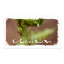 Fiddlehead Macro; Promotional Business Card Template