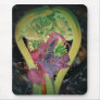 Fiddlehead Mousepads