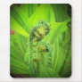 Fiddlehead Mouse Pads
