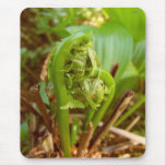 Fiddleheads Mouse Pads