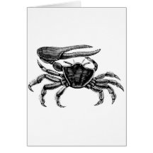 Fiddler Crab Drawing Greeting Card
