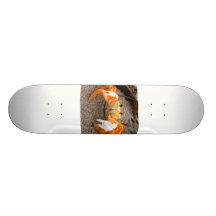 Fiddler Crab On Beach Colorized Orange Skate Deck