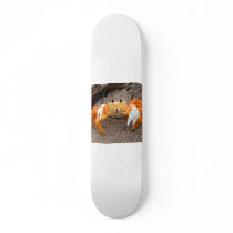 Fiddler Crab On Beach Colorized Orange Skate Deck