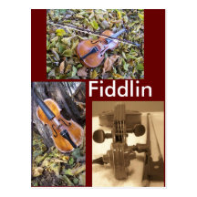 fiddlin fanatic postcard