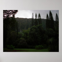 Field Behind Buddhist Temple 2, Oahu Poster