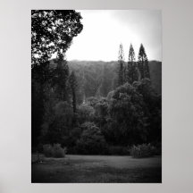 Field Behind Buddhist Temple, Oahu B&W Posters