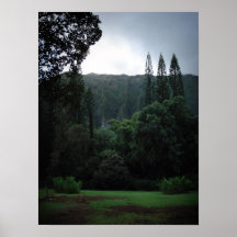 Field Behind Buddhist Temple, Oahu Poster