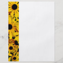 Field of Black-Eyed Susans Flyers