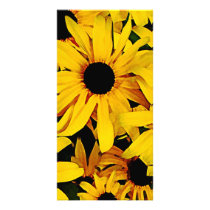 Field of Black-Eyed Susans Customized Photo Card