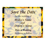 Field of Black-Eyed Susans Save the Date Post Card
