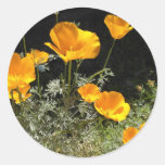 Field of CA Poppies Stickers