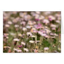 Field of Daisies Photo Greeting Card