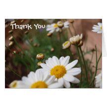Field of Daisies Wedding Thank You Card
