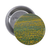 Field of dandelion flowers White flowers Pinback Buttons