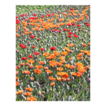 Field of Flowers Custom Letterhead