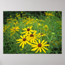Field of Flowers Posters