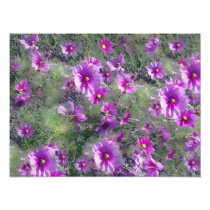 Field of flowers  Print Photo