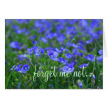 Field of Forget Me Nots Cards