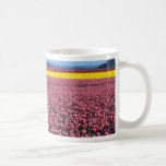 Field of Joy, Skagit Valley, Washington, U.S.A. at Mugs