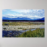 Field Of Lupins And Southern Alps, South Island Print
