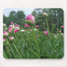 Field of Peonies Pink Peony Buds Mouse Mat Mousepads