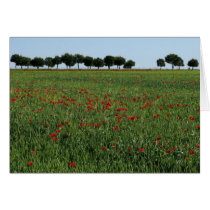 Field of Poppies Card cards