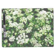 Field of Queen Anne's Lace Dry Erase Board