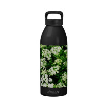 Field of Queen Anne's Lace Water Bottle