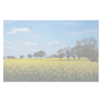 Field of rape, Surrey, England Stationery Design